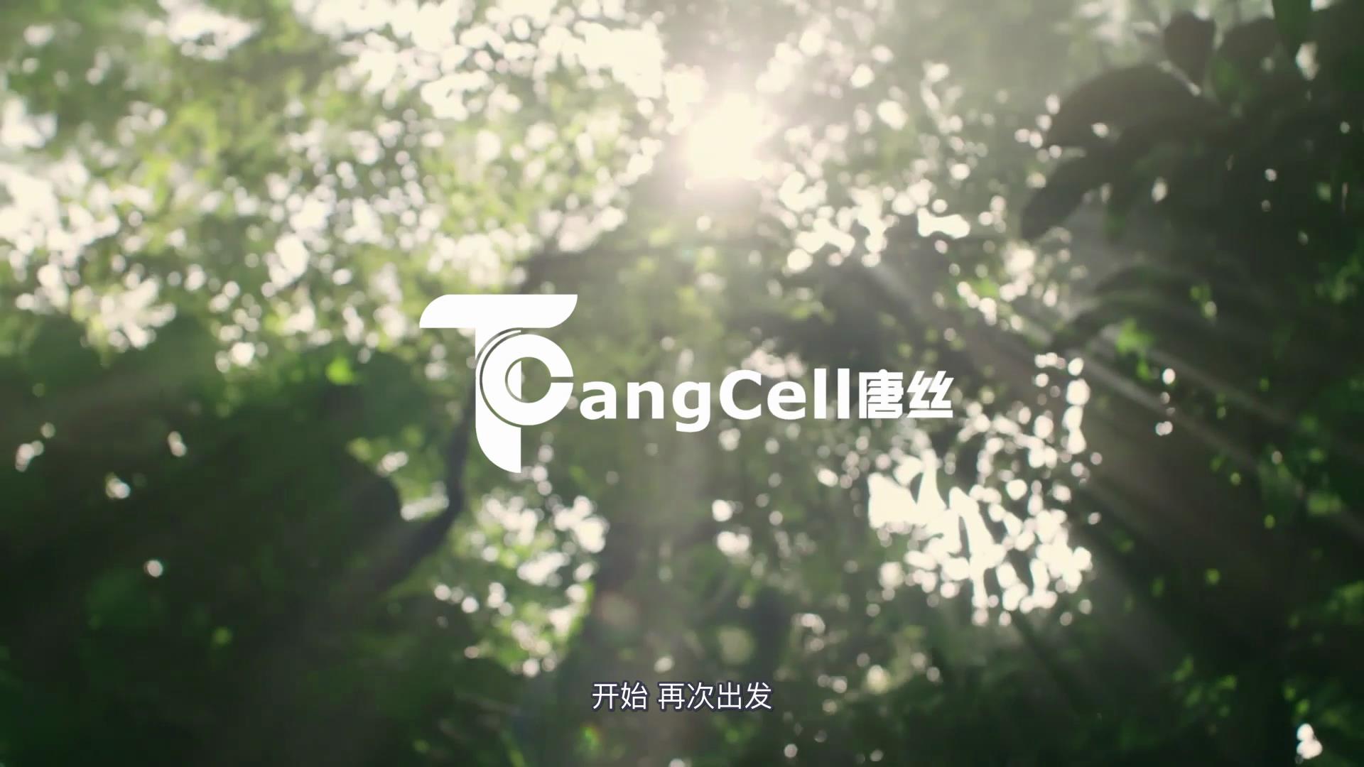 2121非凡·(中国游)体育官方网站